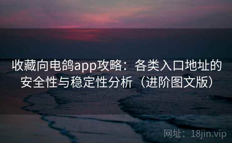 收藏向电鸽app攻略：各类入口地址的安全性与稳定性分析（进阶图文版）