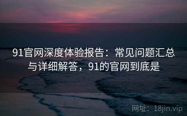 91官网深度体验报告：常见问题汇总与详细解答，91的官网到底是