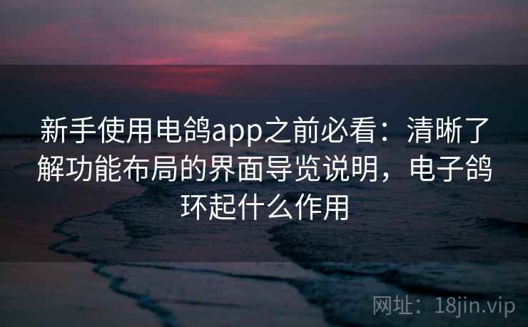 新手使用电鸽app之前必看:清晰了解功能布局的界面导览说明,电子鸽环起什么作用 新手使用电鸽app之前必看:清晰了解功能布局的界面导览说明,电子鸽环起什么作用