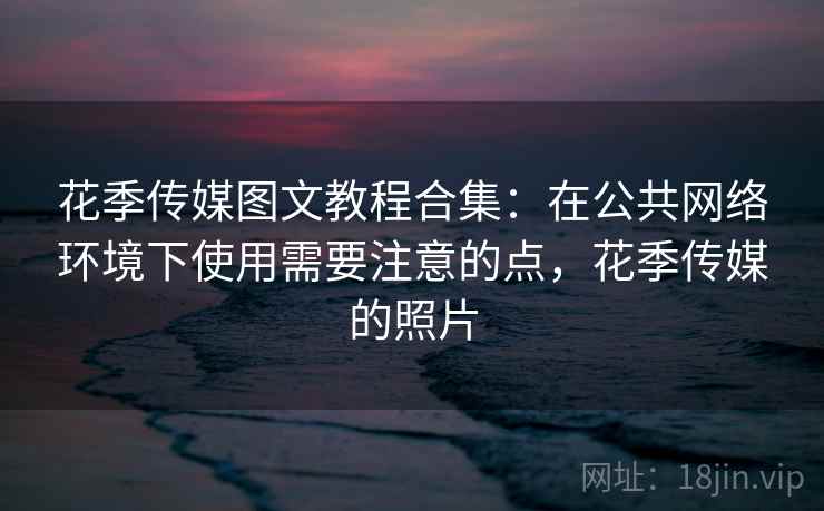 花季传媒图文教程合集：在公共网络环境下使用需要注意的点，花季传媒的照片