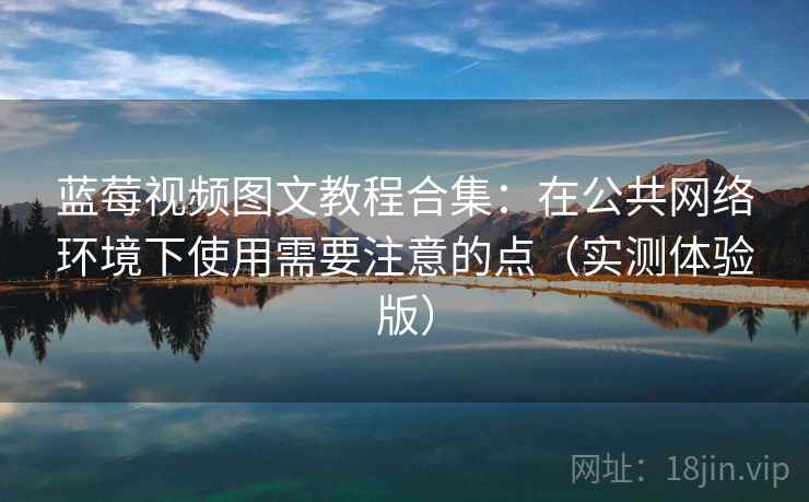 蓝莓视频图文教程合集:在公共网络环境下使用需要注意的点(实测体验版) 蓝莓视频图文教程合集:在公共网络环境下使用需要注意的点(实测体验版)