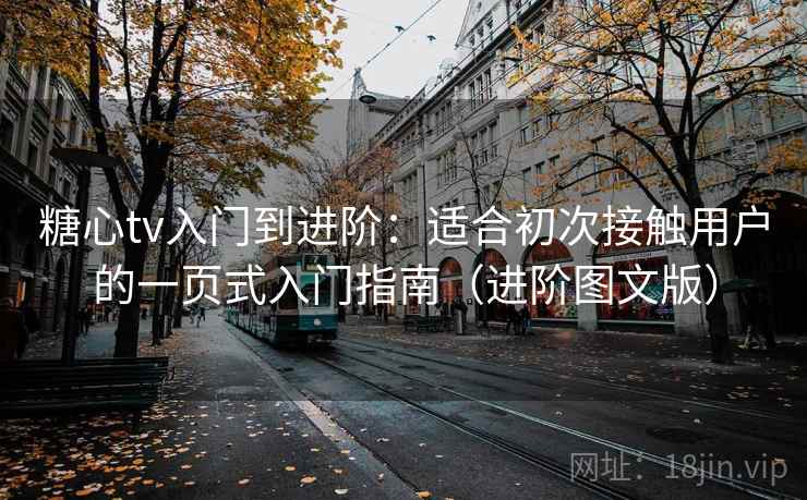 糖心tv入门到进阶：适合初次接触用户的一页式入门指南（进阶图文版）