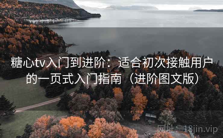 糖心tv入门到进阶：适合初次接触用户的一页式入门指南（进阶图文版）
