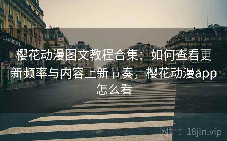 樱花动漫图文教程合集：如何查看更新频率与内容上新节奏，樱花动漫app怎么看