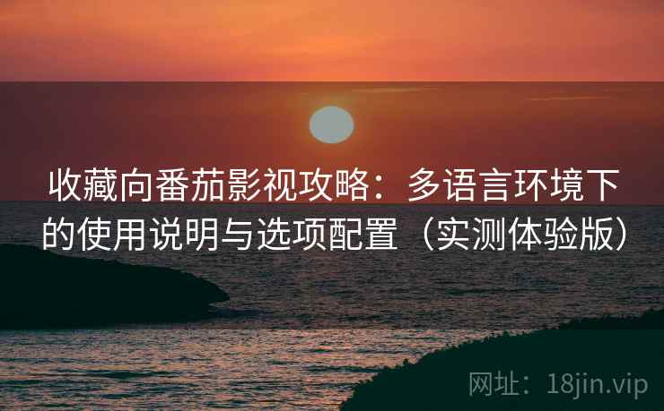 收藏向番茄影视攻略：多语言环境下的使用说明与选项配置（实测体验版）