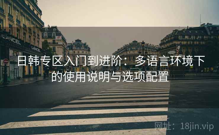日韩专区入门到进阶：多语言环境下的使用说明与选项配置