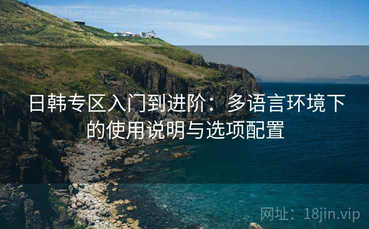 日韩专区入门到进阶：多语言环境下的使用说明与选项配置