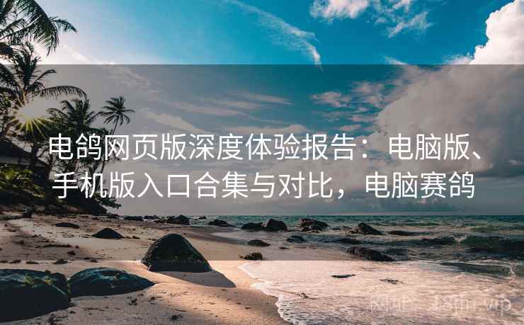 电鸽网页版深度体验报告：电脑版、手机版入口合集与对比，电脑赛鸽