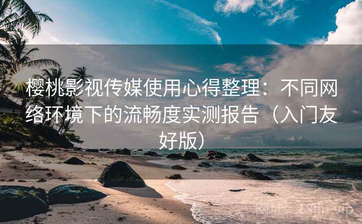 樱桃影视传媒使用心得整理：不同网络环境下的流畅度实测报告（入门友好版）