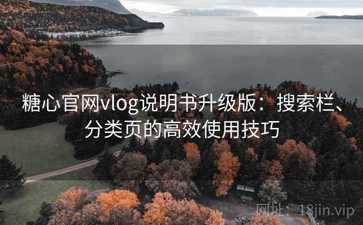 糖心官网vlog说明书升级版：搜索栏、分类页的高效使用技巧
