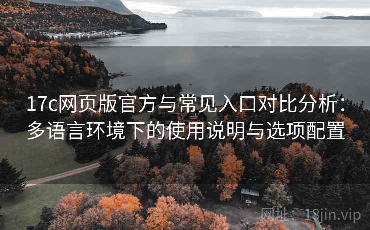 17c网页版官方与常见入口对比分析：多语言环境下的使用说明与选项配置