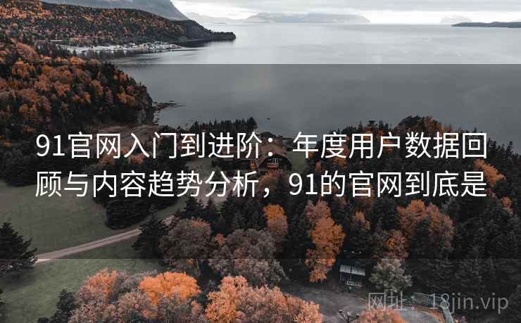 91官网入门到进阶：年度用户数据回顾与内容趋势分析，91的官网到底是