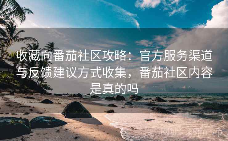 收藏向番茄社区攻略：官方服务渠道与反馈建议方式收集，番茄社区内容是真的吗